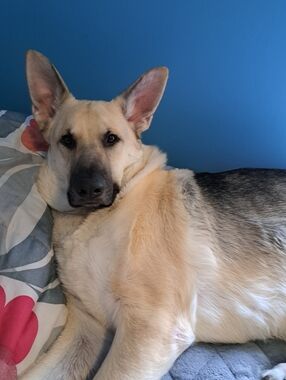 🎀SALES & GIFTS!🎁